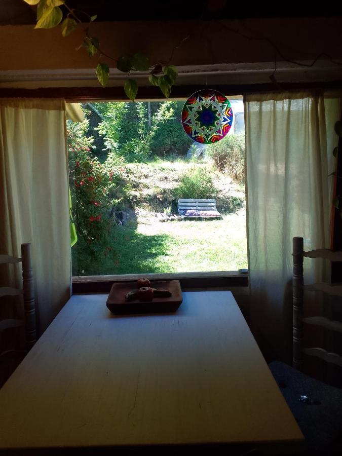Casita En La Montana Διαμέρισμα San Martín de los Andes Εξωτερικό φωτογραφία